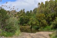 Vulkane Italiens 0164