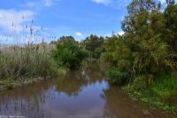 Vulkane Italiens 0165