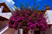 Vulkane Italiens 0205