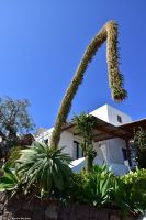 Vulkane Italiens 0215