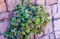 Vulkane Italiens 0214