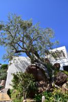 Vulkane Italiens 0216