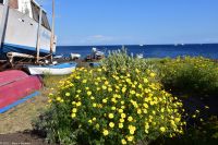 Vulkane Italiens 0226