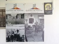 Cantina del Vesuvio 