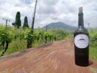 Die Perle - Vesuvio Lacryma Christi