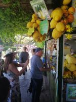 Riesenzitronen an einem Kiost in Capri