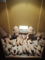 Penis-Ausstellung im geheimen Kabinett, archeologisches Museum in Neapel