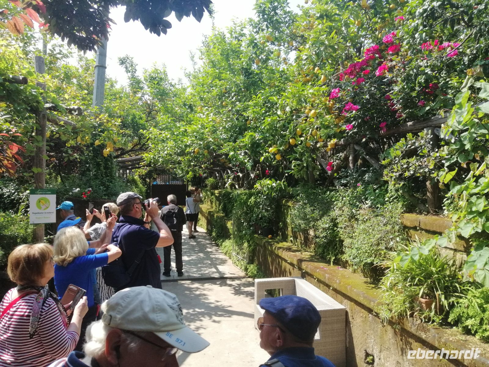 Stadtrundgang durch Sorrent, Zitronenkooperative am Busparkplatz, Sorrent
