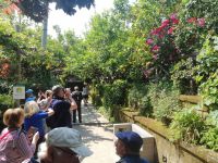 Stadtrundgang durch Sorrent, Zitronenkooperative am Busparkplatz, Sorrent