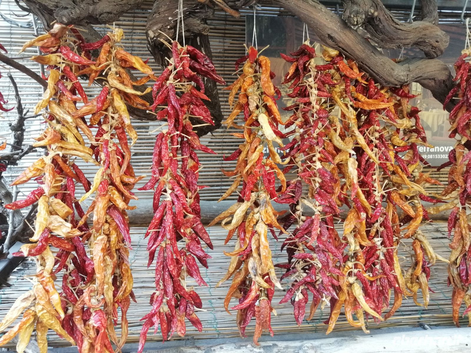 Neapolitanischen Cornicello: das Glückshorn