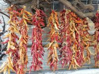 Neapolitanischen Cornicello: das Glückshorn