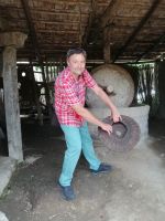 ein Filter für die Olivenpresse