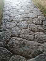 alter Kopfsteinpflaster in Herculaneum