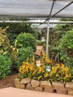 Raffeiner Orchideenwelt