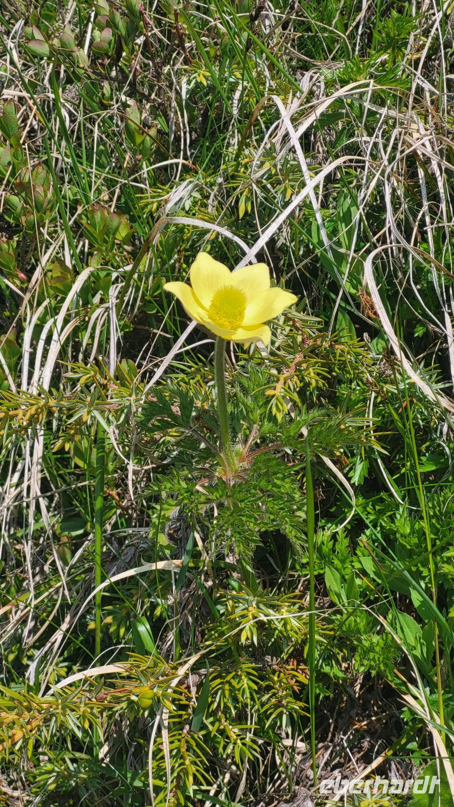 014 – Italien, Trentino, Commezzadura, Wanderung