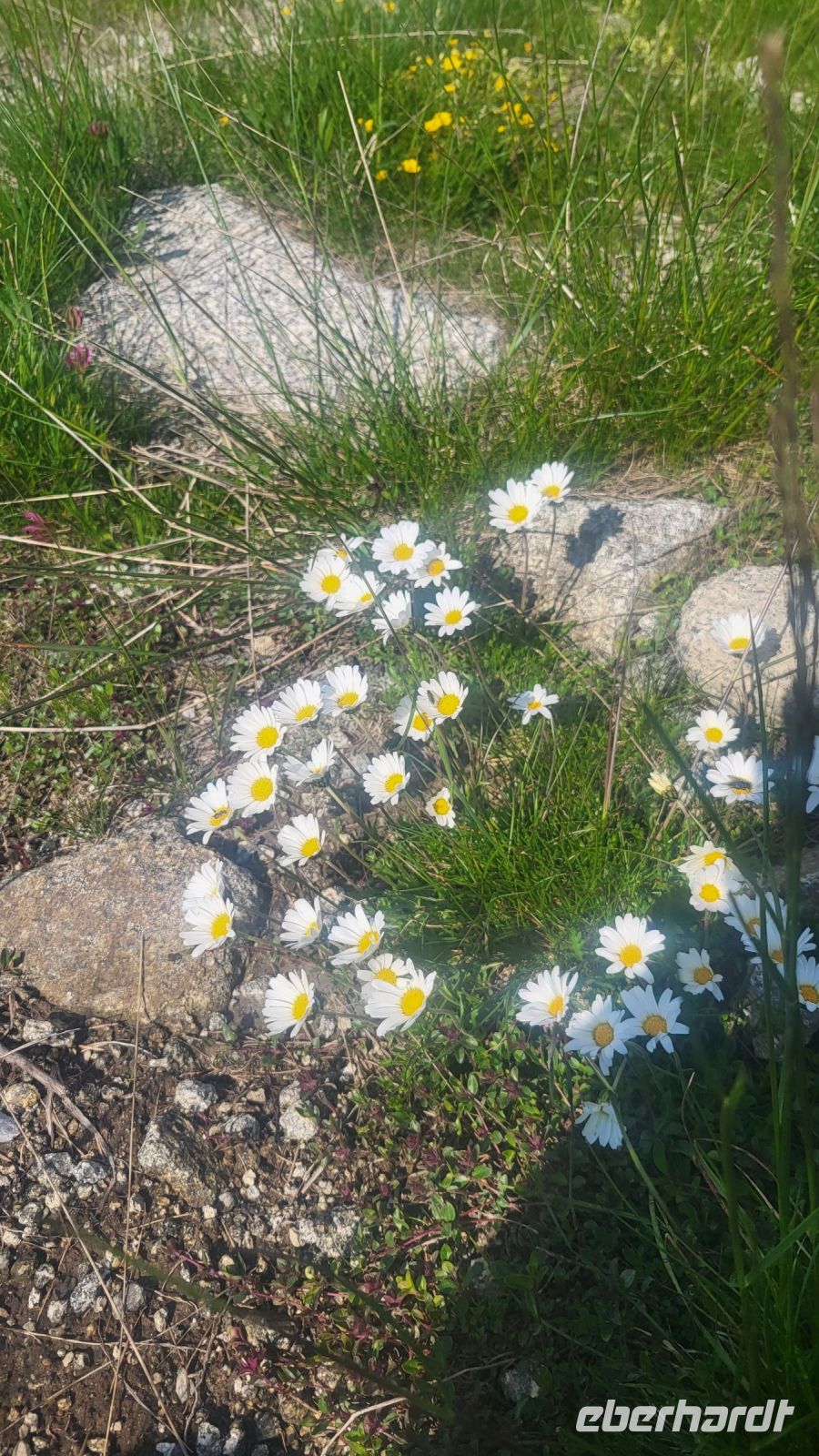 018 – Italien, Trentino, Commezzadura, Wanderung