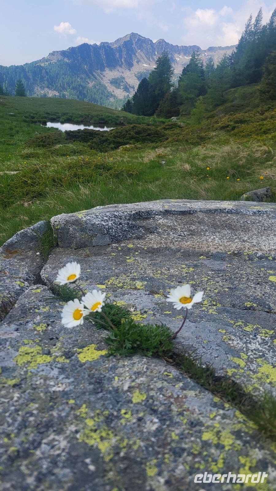 024 – Italien, Trentino, Commezzadura, Wanderung