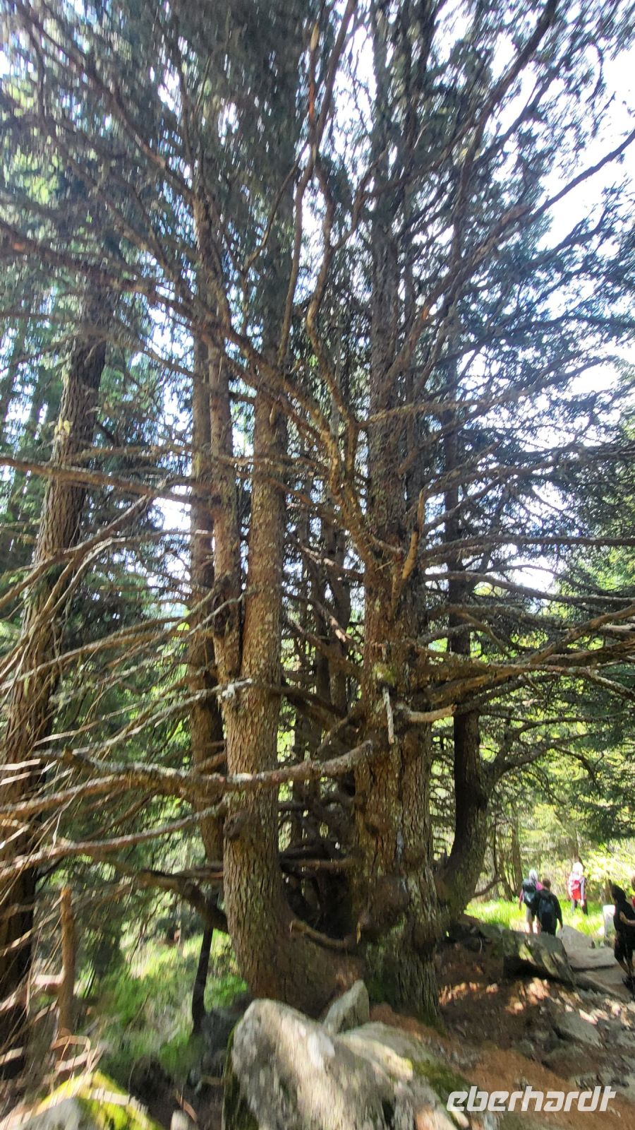 028 – Italien, Trentino, Commezzadura, Wanderung