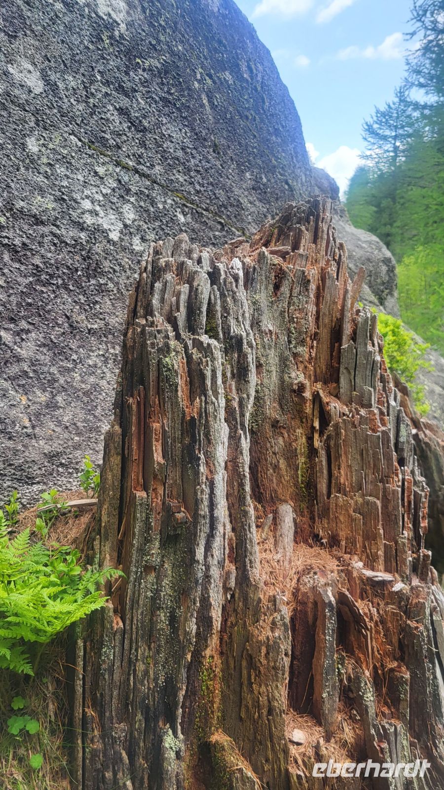 034 – Italien, Trentino, Commezzadura, Wanderung