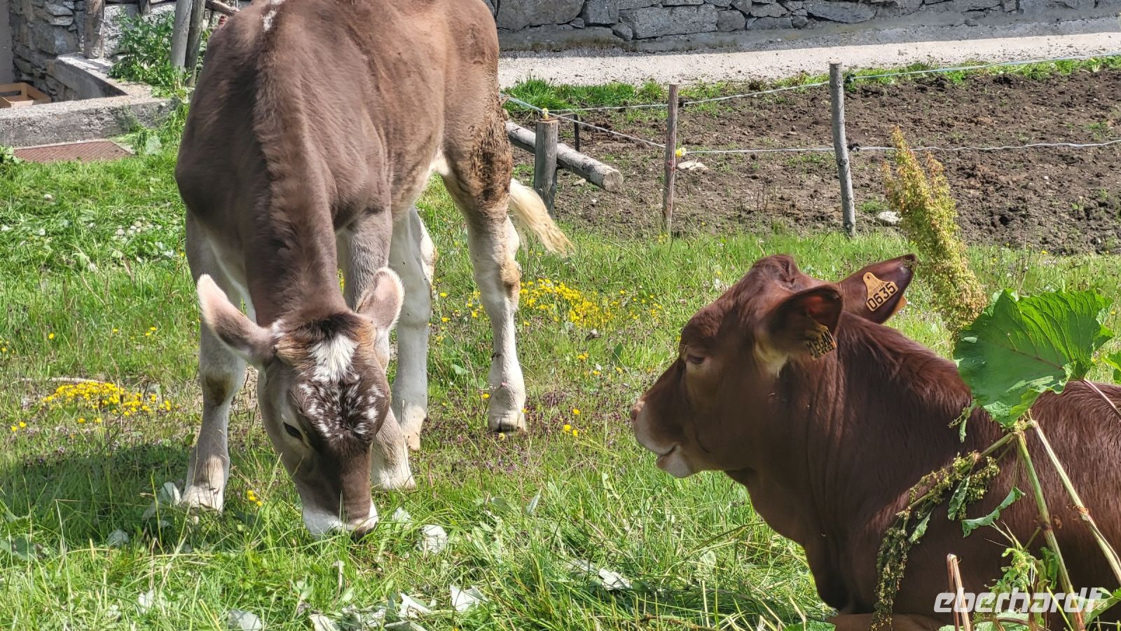 040 – Italien, Trentino, Commezzadura, Wanderung