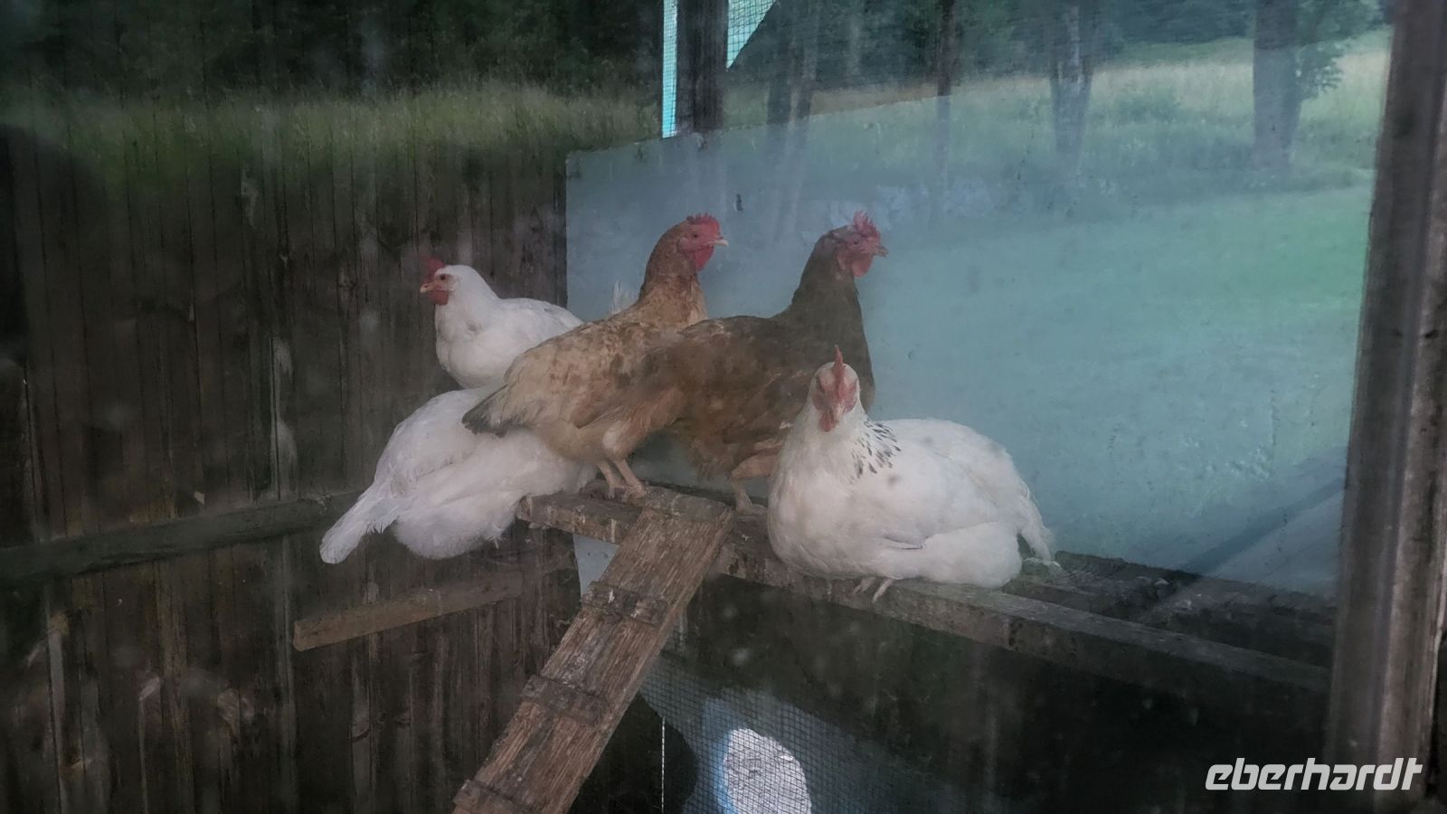 043 – Italien, Trentino, Commezzadura