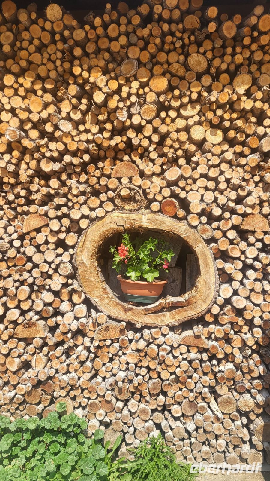 063 – Italien, Trentino, Rabbi Tal, Wanderung