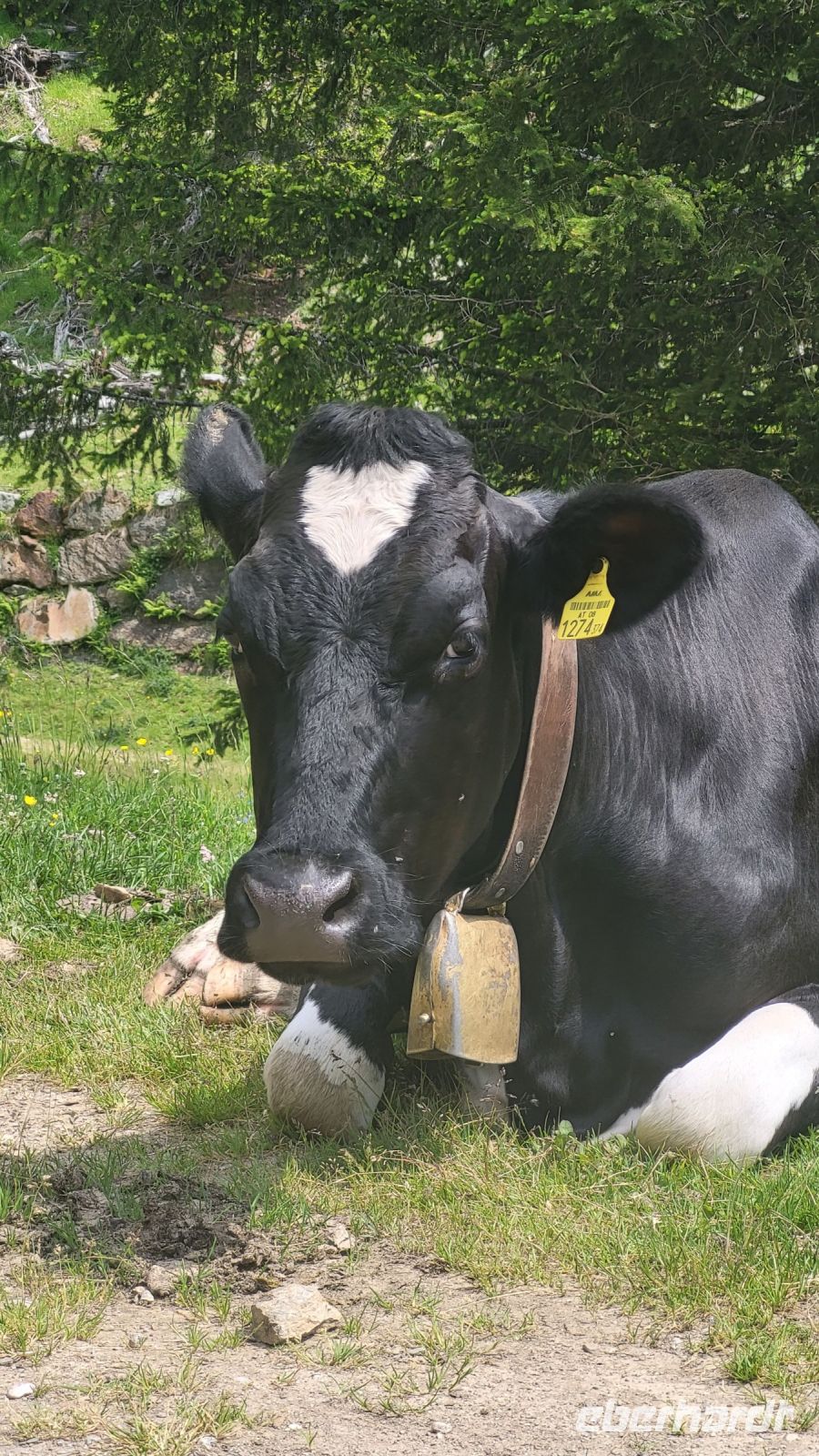 065 – Italien, Trentino, Rabbi Tal, Wanderung