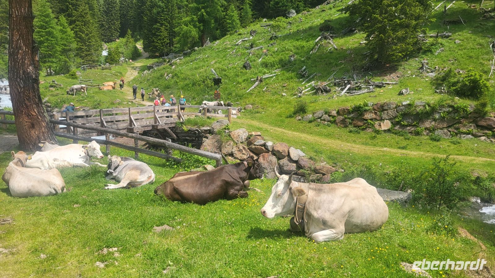 066 – Italien, Trentino, Rabbi Tal, Wanderung