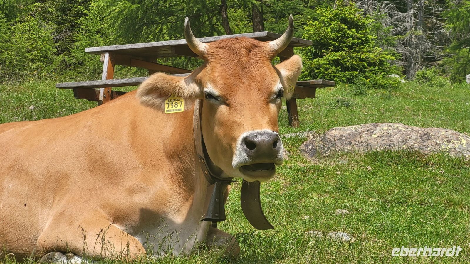 067 – Italien, Trentino, Rabbi Tal, Wanderung