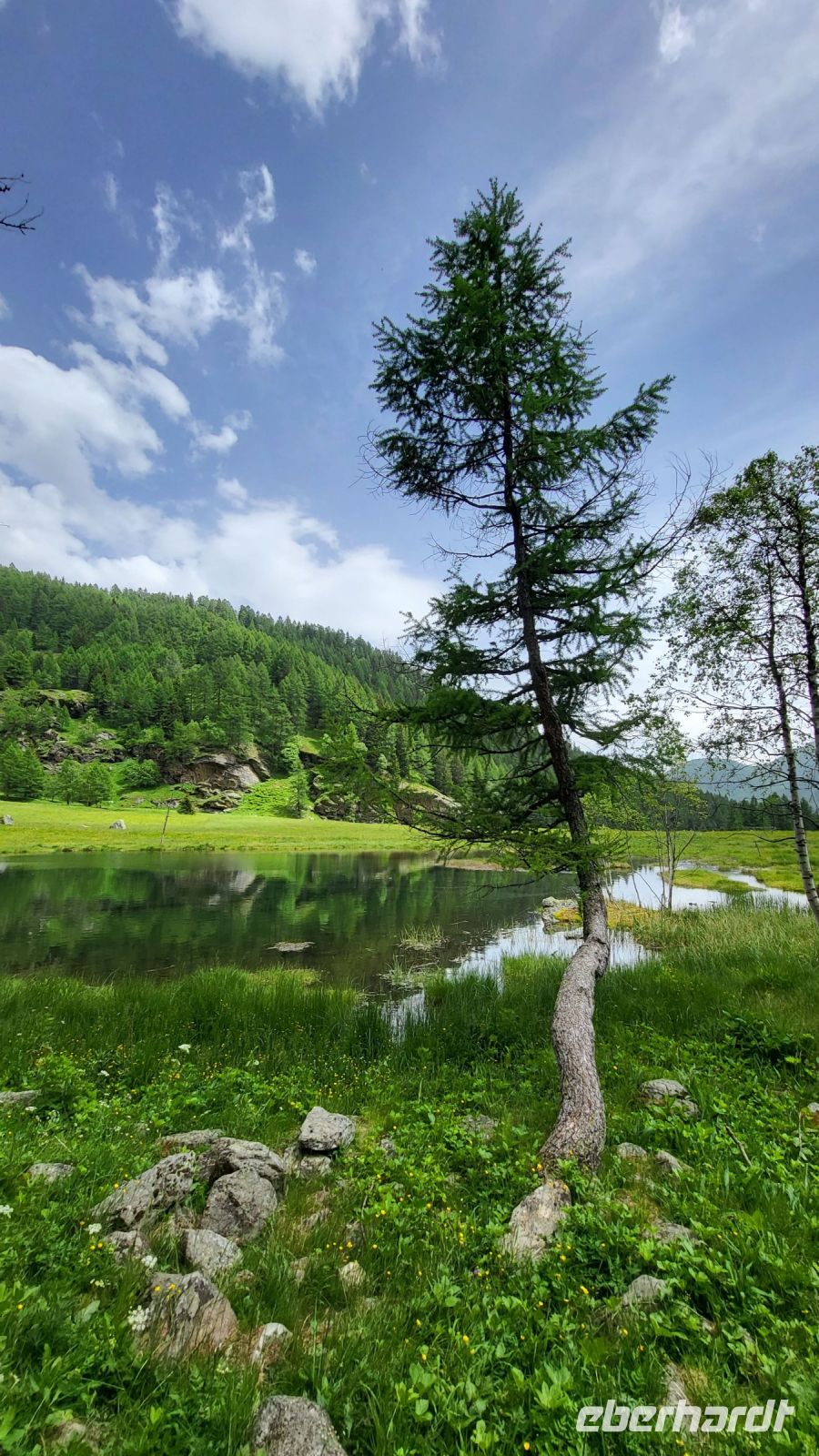 108 – Italien, Trentino, Peio Tal, Wanderung