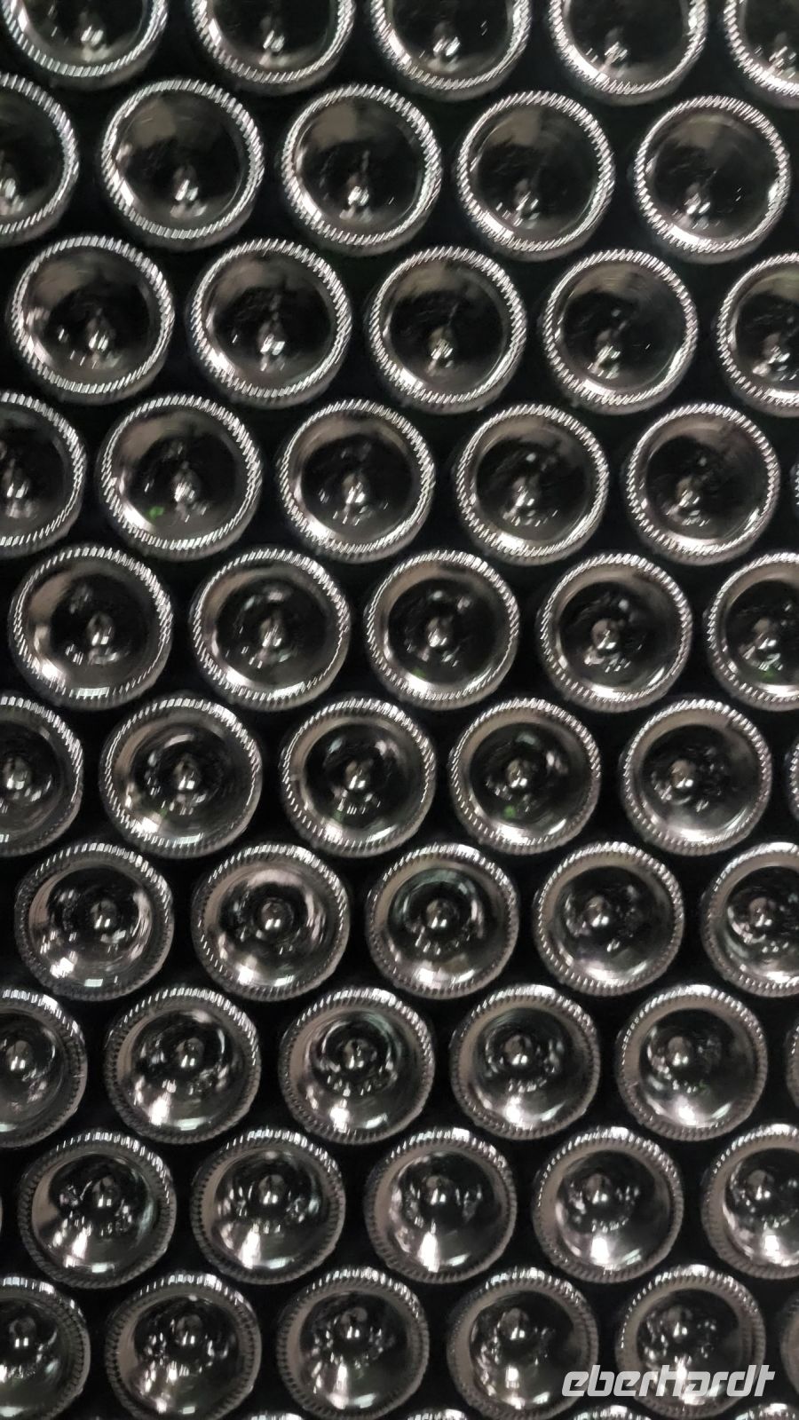 165 – Italien, Trentino, Sektkellerei Rotari