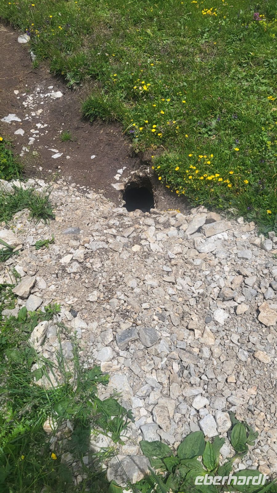 181 – Italien, Trentino, Adamello-Brenta