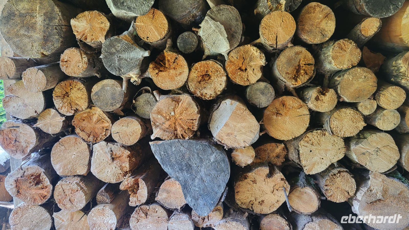 210 – Italien, Trentino, Madonna di Campiglio, Wanderung