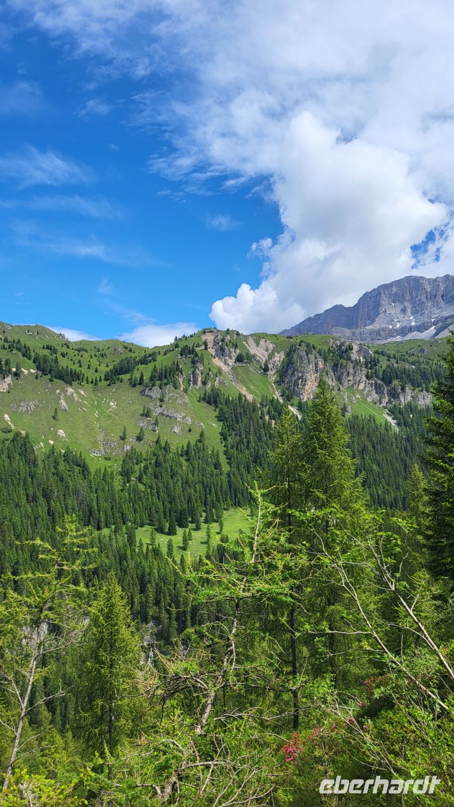 212 – Italien, Trentino, Madonna di Campiglio, Wanderung