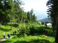 Weiter gehts zur Angerer Alm