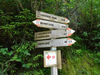 Zurück nach Oberolang