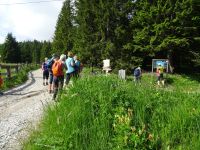 2. Wandertag zu den Rotwandwiesen