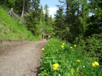Wanderung zu den Rotwandwiesen