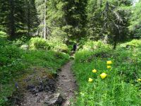 Naturpark Drei Zinnen