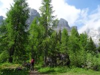 Blick zu den Rotwandwiesen