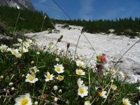 Weiter über die Schuttkarre zur Rotwandwiesenhütte