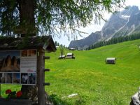 Blick zur Rotwandwiesen