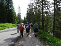 3. Wanderung zur Croda da Lago-Hütte und Federa-See