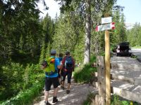 Wanderung zur Croda da Lago-Hütte und Federa-See
