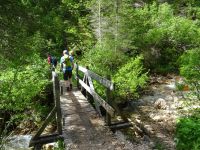Wanderung zur Croda da Lago-Hütte und Federa-See