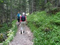 Wanderung zur Croda da Lago-Hütte und Federa-See