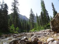 Wanderung zur Croda da Lago-Hütte und Federa-See