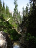 Wanderung zur Croda da Lago-Hütte und Federa-See
