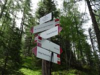 Wanderung zur Croda da Lago-Hütte und Federa-See