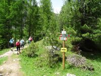 Croda da Lago - Wanderung zurück zum Ausgangspunkt